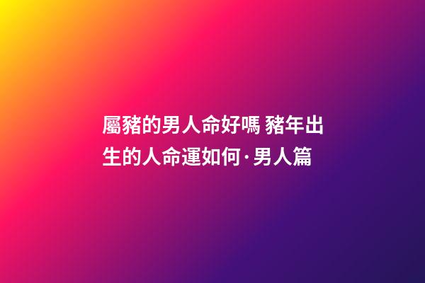 屬豬的男人命好嗎 豬年出生的人命運如何·男人篇-第1張-觀點-玄機派